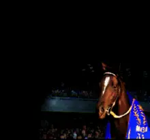 Image n° 1 - screenshots  : Winning Post 2 - Program '96